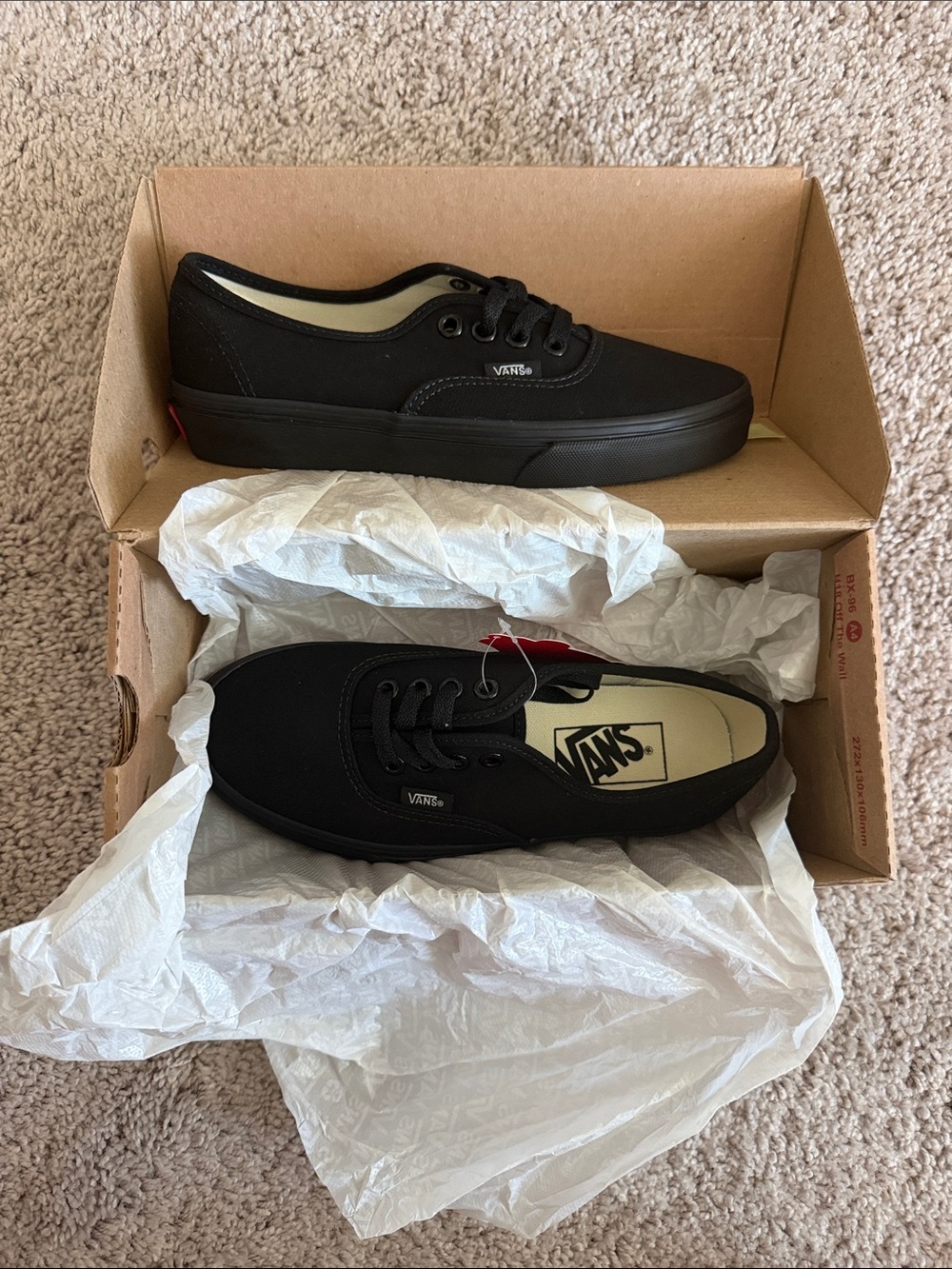 Vans Authentic Blackout Shoes